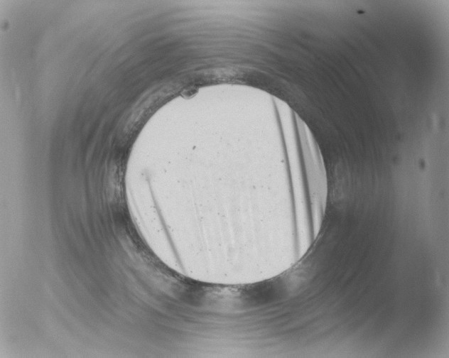 X0000051270140200507152252