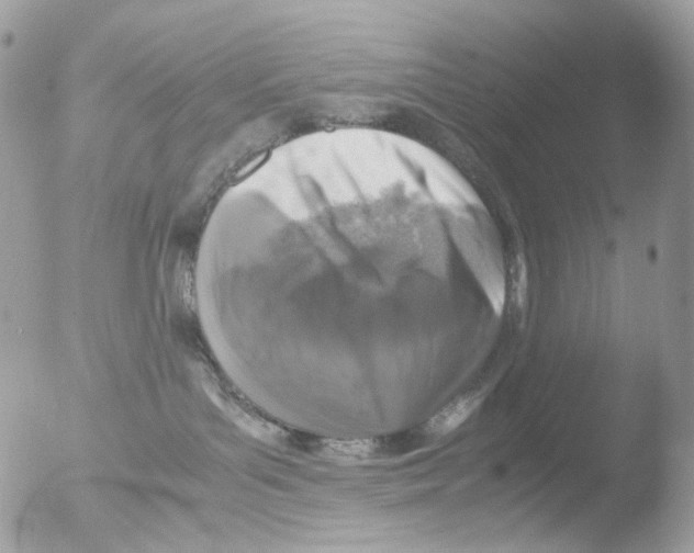 X0000051270143200507152251
