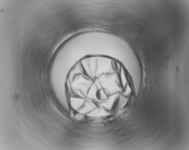 X0000051270156200507152251
