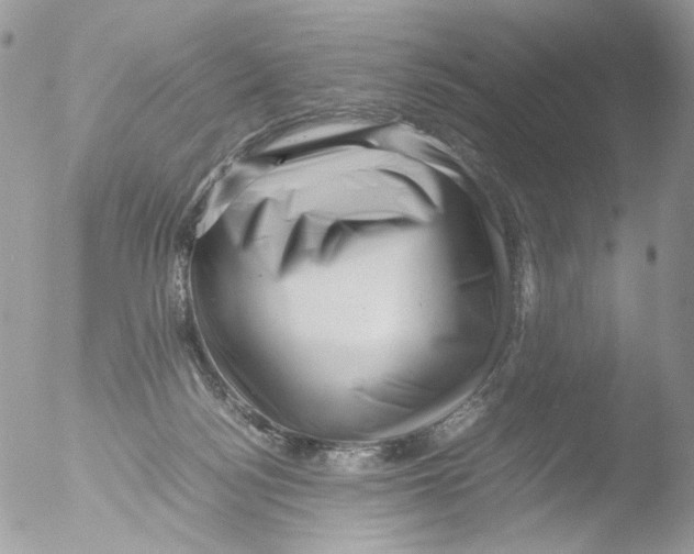 X0000051270172200507152251