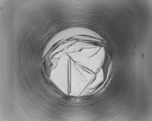 X0000051270174200507152251