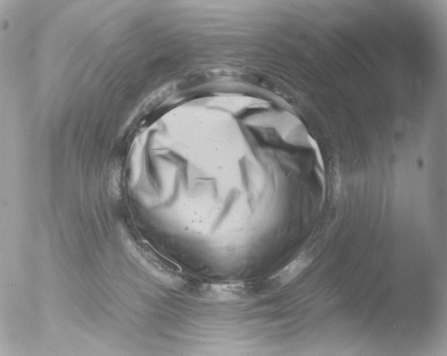 X0000051270188200507152251