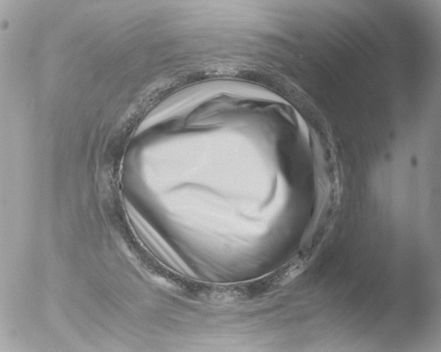 X0000051270209200507152250