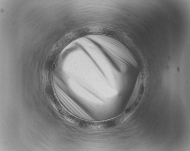 X0000051270213200507152250
