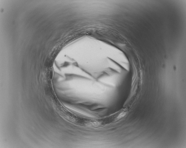 X0000051270217200507152250