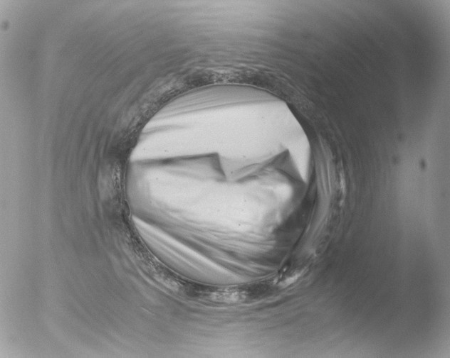 X0000051270225200507152250