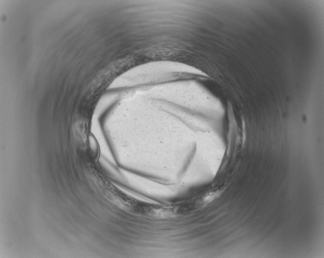X0000051270232200507152250