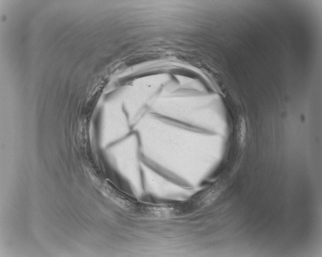 X0000051270233200507152250