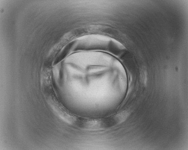 X0000051270237200507152250