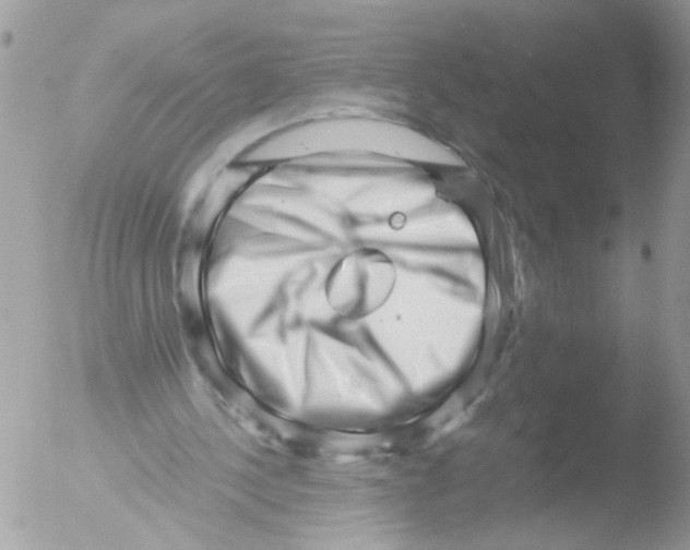 X0000051270244200507152249