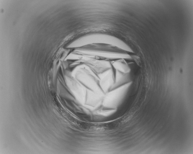 X0000051270260200507152249