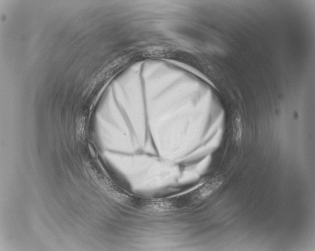 X0000051270278200507152250