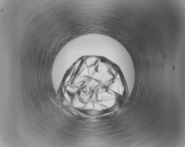 X0000051270280200507152250