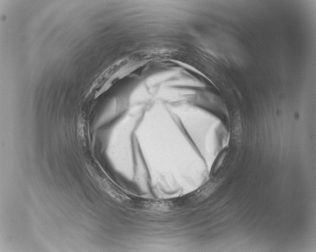X0000051270282200507152250