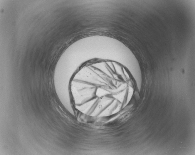 X0000051270284200507152250