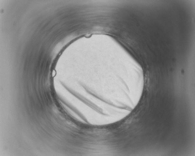 X0000051270292200507152249