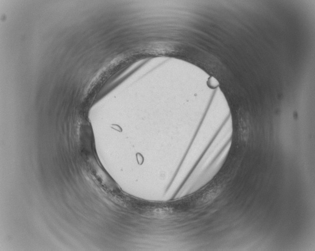 X0000051270304200507152249