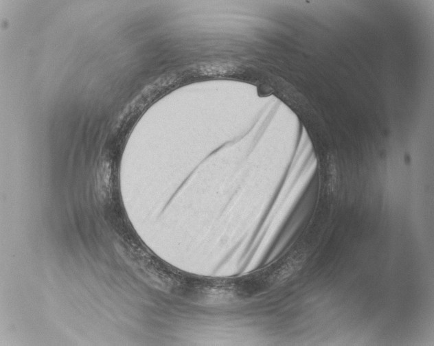 X0000051270308200507152249