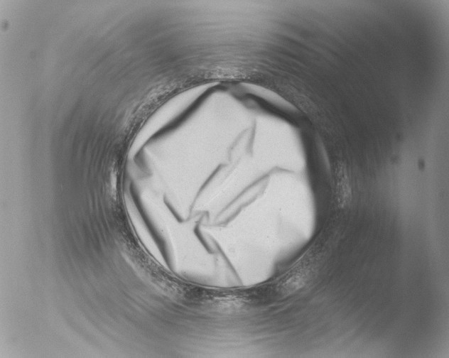 X0000051270310200507152249