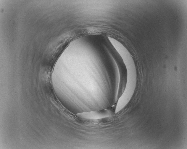 X0000051270329200507152248