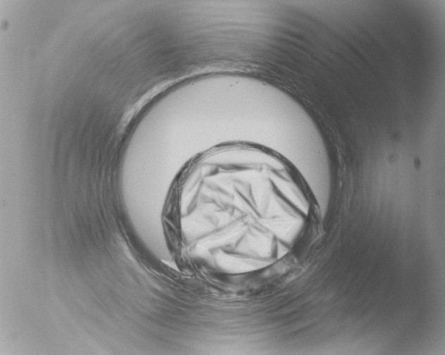 X0000051270348200507152248
