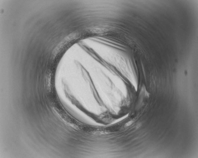 X0000051270404200507152247
