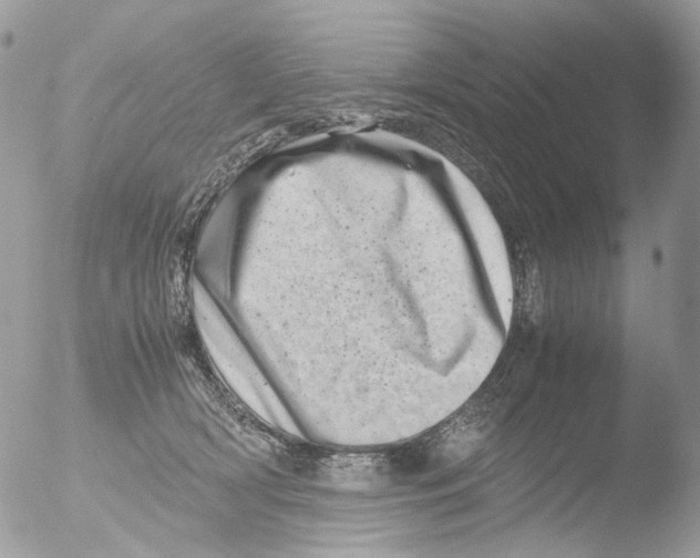 X0000051270418200507152247