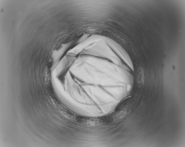 X0000051270420200507152247