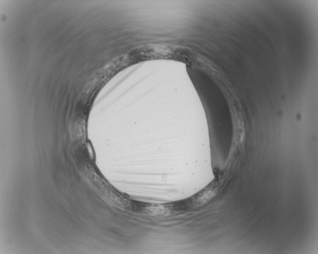 X0000051270425200507152247