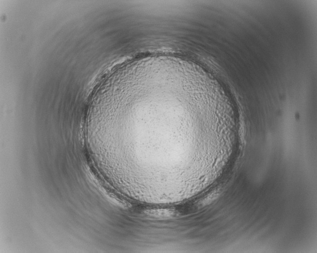 X0000051270449200507152246