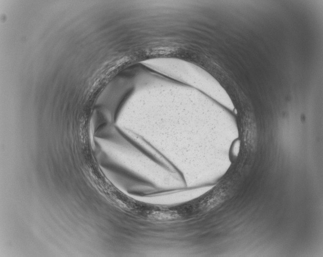X0000051270455200507152246