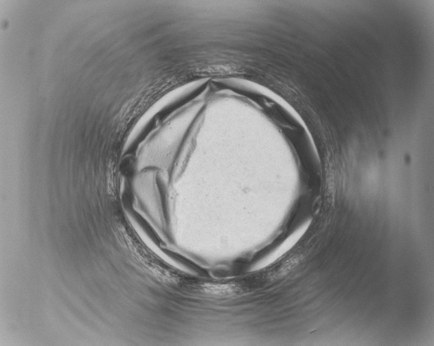 X0000051270457200507152246