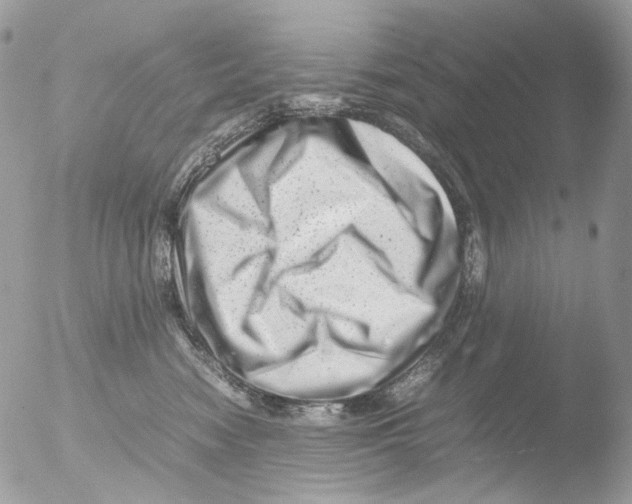 X0000051270474200507152247