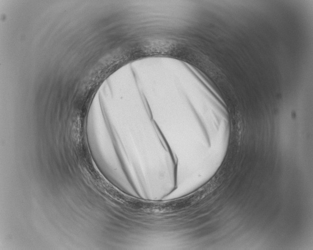 X0000051270498200507152246