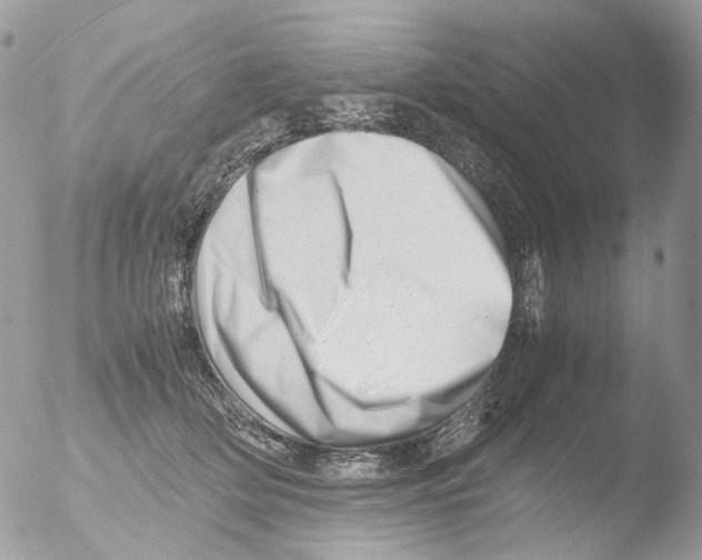 X0000051270514200507152245