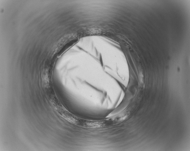 X0000051270516200507152245