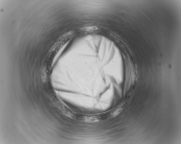 X0000051270520200507152245