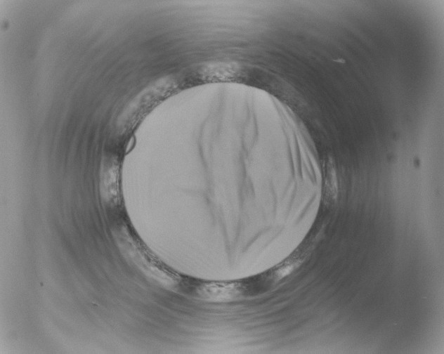 X0000051270526200507152245