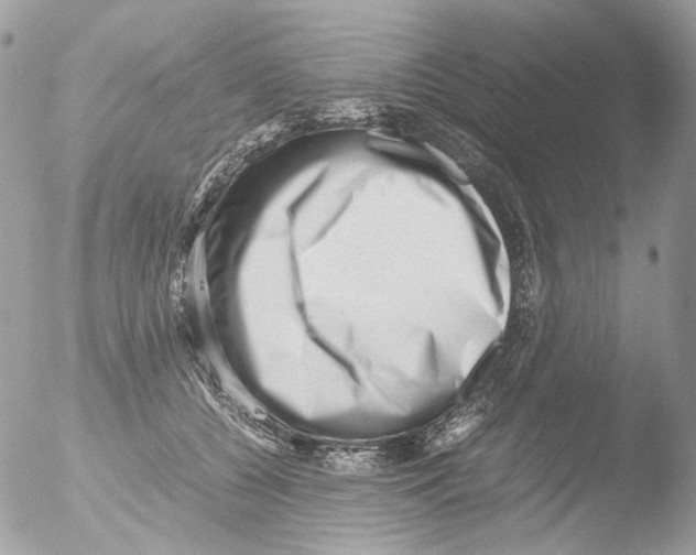 X0000051270560200507152245
