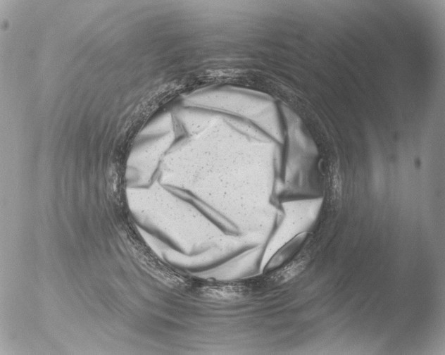 X0000051270567200507152245