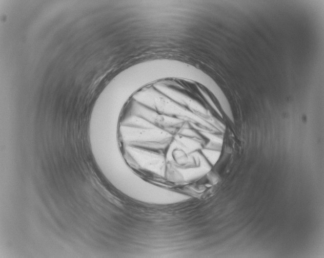 X0000051270572200507152245