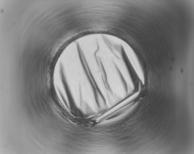 X0000051270584200507152244
