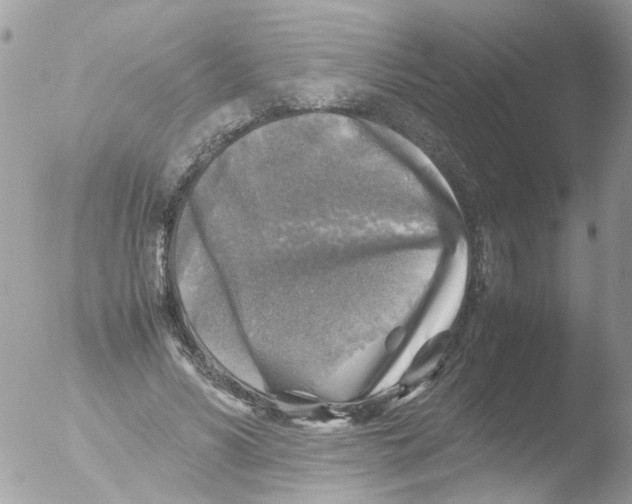 X0000051270590200507152244