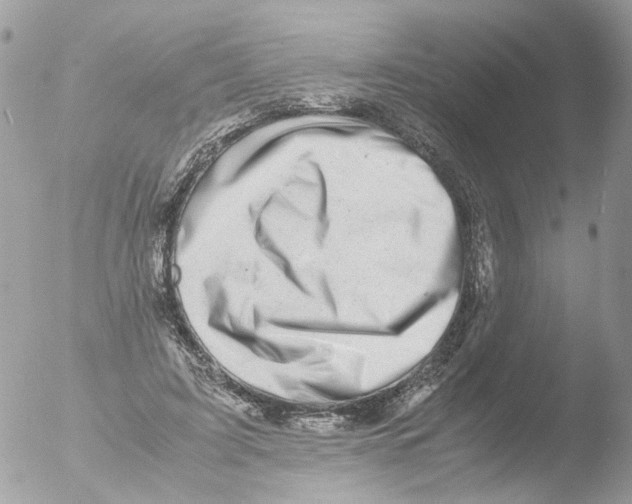 X0000051270595200507152244