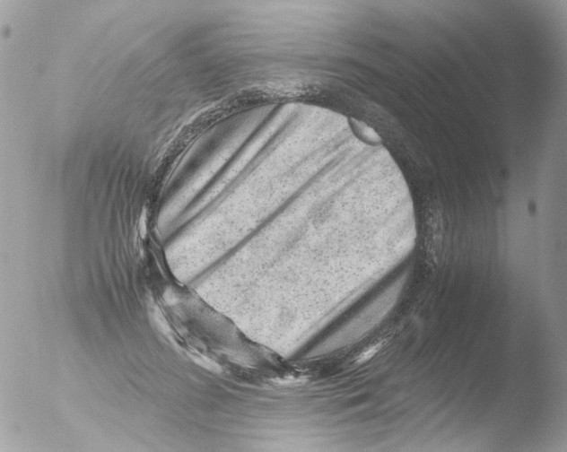 X0000051270596200507152244