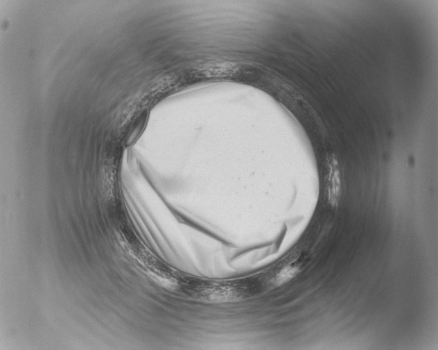 X0000051270604200507152244