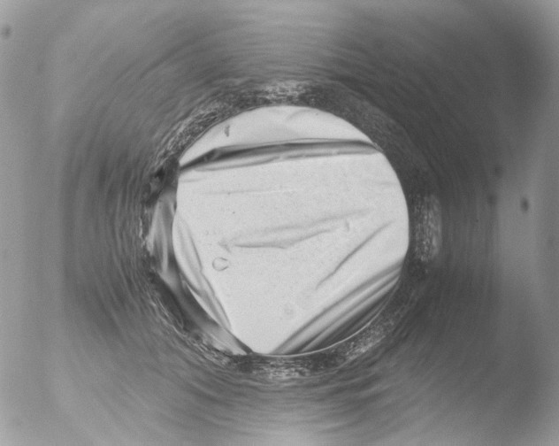 X0000051270608200507152244