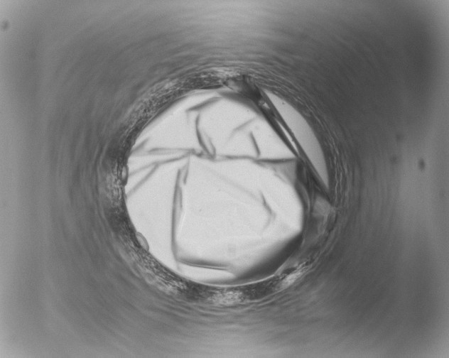 X0000051270609200507152244