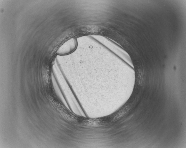 X0000051270612200507152244