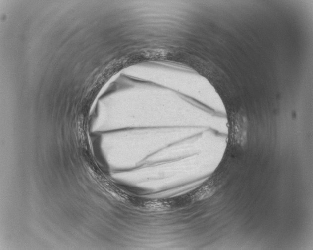 X0000051270616200507152243